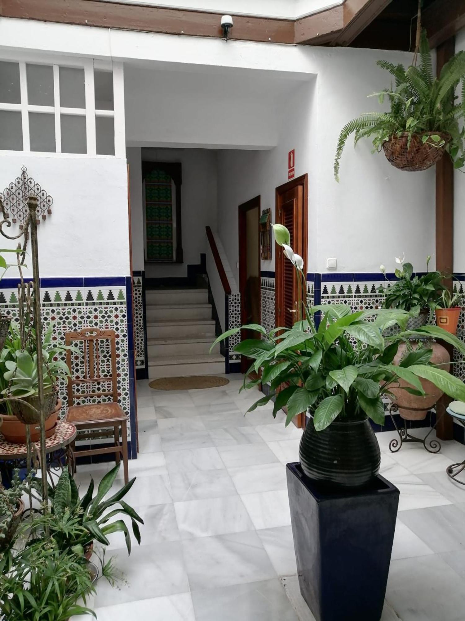 Apartamento Centro De Кадіс Екстер'єр фото